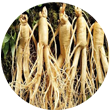 Ginseng Rouge